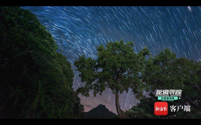 遗失之森