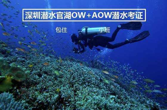 经济总量明年要破1.5万亿,郑州靠什么丨两会快评⑥